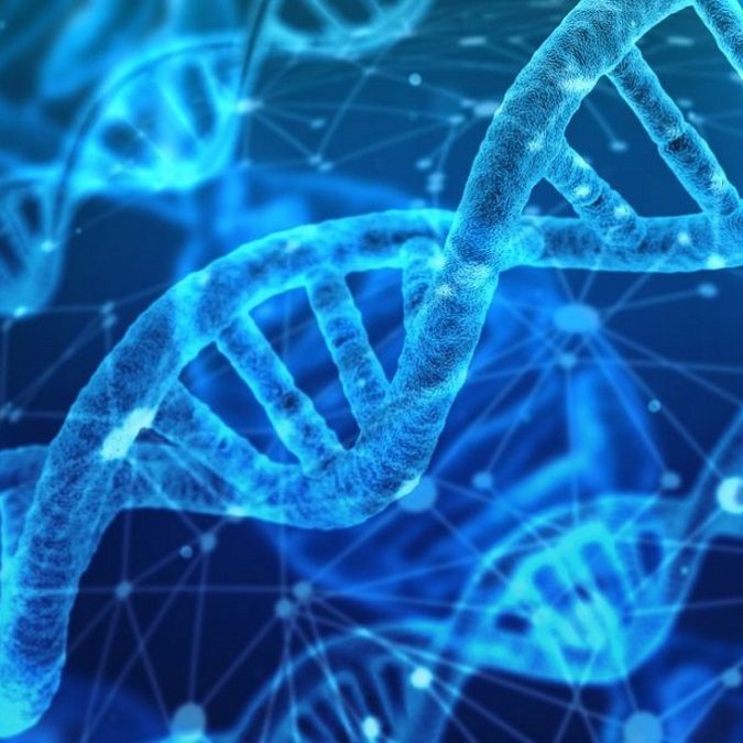 PRESSE | An die DNA anpassen